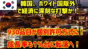 韓国、ホワイト国除外で経済に深刻な打撃か！[1]