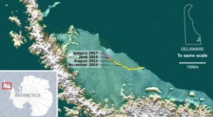 larsen-c-shelf-antarctica[1]